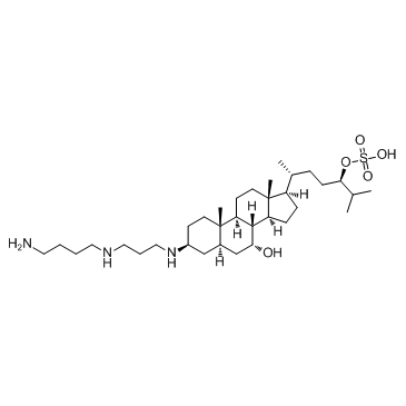 Squalamine Chemical Structure