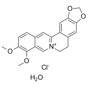 Berberine chloride hydrate Chemical Structure