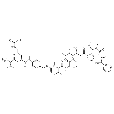 Val-Cit-PAB-MMAE Chemical Structure