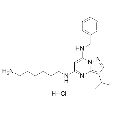 BS-181 HCl Chemical Structure