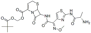 Ceftizoxime alapivoxil 结构式