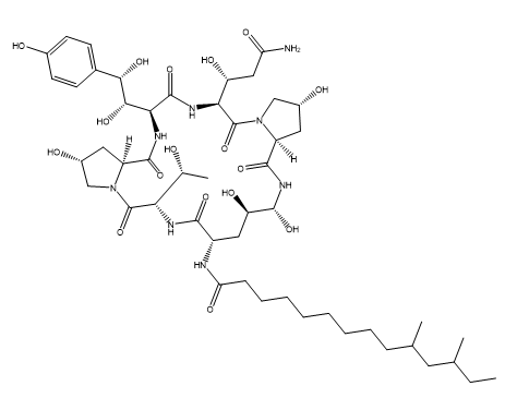 Pneumocandin C(0) Chemical Structure