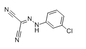 (3-Chlorophenyl)hydrazonomalononitrile Chemical Structure