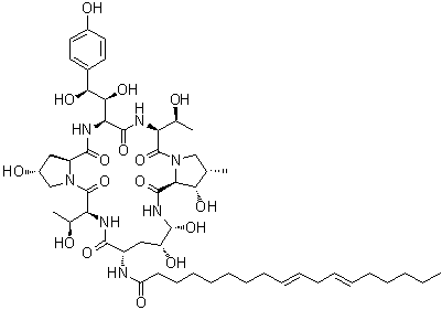 Echinocandin B 结构式