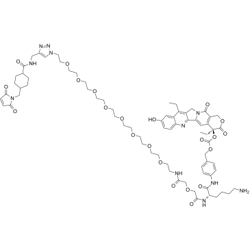CL2A-SN-38 Chemical Structure