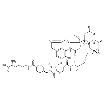Lys-SMCC-DM1 Chemical Structure