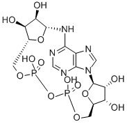 Cyclic ADP-ribose Chemical Structure