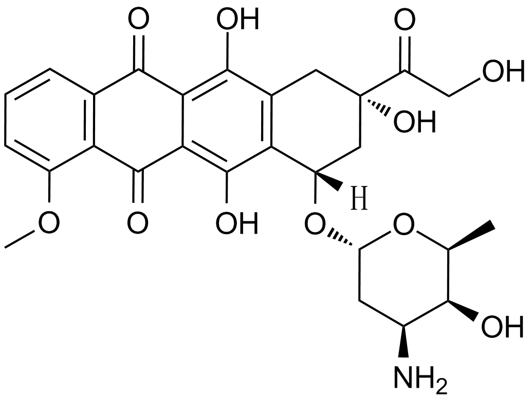 Adriamycin Chemical Structure