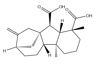 Gibberellin A12 Chemical Structure