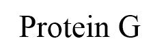 Protein G Chemical Structure
