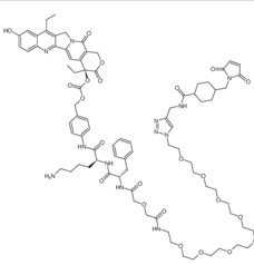 CL2-SN-38 Chemical Structure