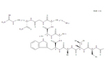 Glucagon-like peptide I (7-36) 结构式