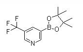 5-Trifluoromethylpyridine-3-boronic acid pinacol ester Chemical Structure