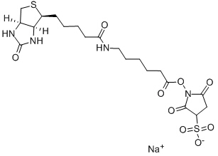 Sulfo-NHS-LC-Biotin Chemical Structure