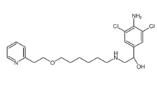 Picumeterol Chemical Structure