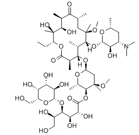 Clarithromycin lactobionate Chemical Structure