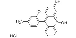 Rhdamine 110 Chemical Structure