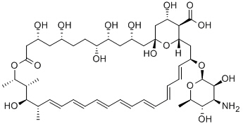 Amphotericin B Chemical Structure