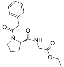 Noopept Chemical Structure