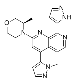 BAY1895344 Chemical Structure