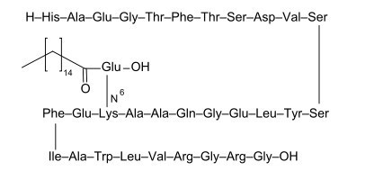 Liraglutide Chemical Structure