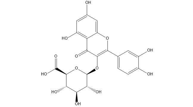 Miquelianin Chemical Structure