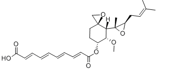 Fumagillin Chemical Structure