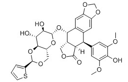 Teniposide Chemical Structure