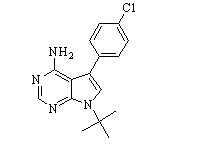 PP2 analog Chemical Structure