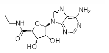 NECA Chemical Structure