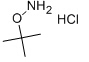 O-tert-butylhydroxylamine hydrochloride Chemical Structure