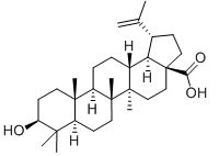 Betulinic acid 结构式