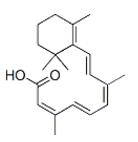 Isotretinoin Chemical Structure