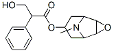 Scopolamine Chemical Structure