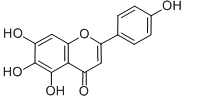 Scutellarein Chemical Structure