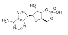 Cyclic AMP Chemical Structure