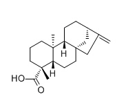 Kaurenoic acid 结构式