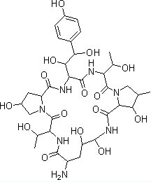 Echinocandin B Chemical Structure
