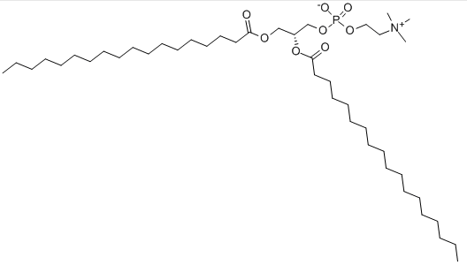 磷脂酰胆碱结构式图片