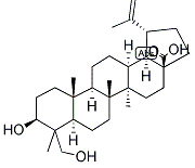 23-hydroxybetulinic acid 结构式