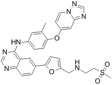 ARRY-380 analog Chemical Structure