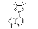 1H-Pyrrolo[2,3-b]pyridine, 4-(4,4,5,5-tetramethyl-1,3,2-dioxaborolan-2-yl)- Chemical Structure